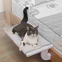 Amazon.co.jp: 猫 ハンモック 窓 猫 ベッド ベッドサイド 掛け式