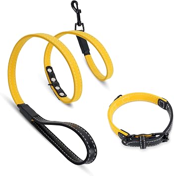 Dog Collar and Leash Set for Small Medium Large, Leather Dog Lead with Adjustable Puppy Collar for Training Walking