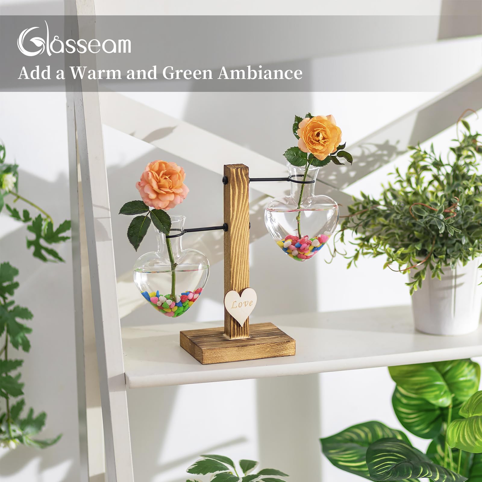 Terrarium De Plantes en Verre avec Support en Bois, Vases Hydroponiques en Verre à Double Cœur Créatif, Station De Propagation De Plantes Modernes, Ampoule De Jardinière De Bureau