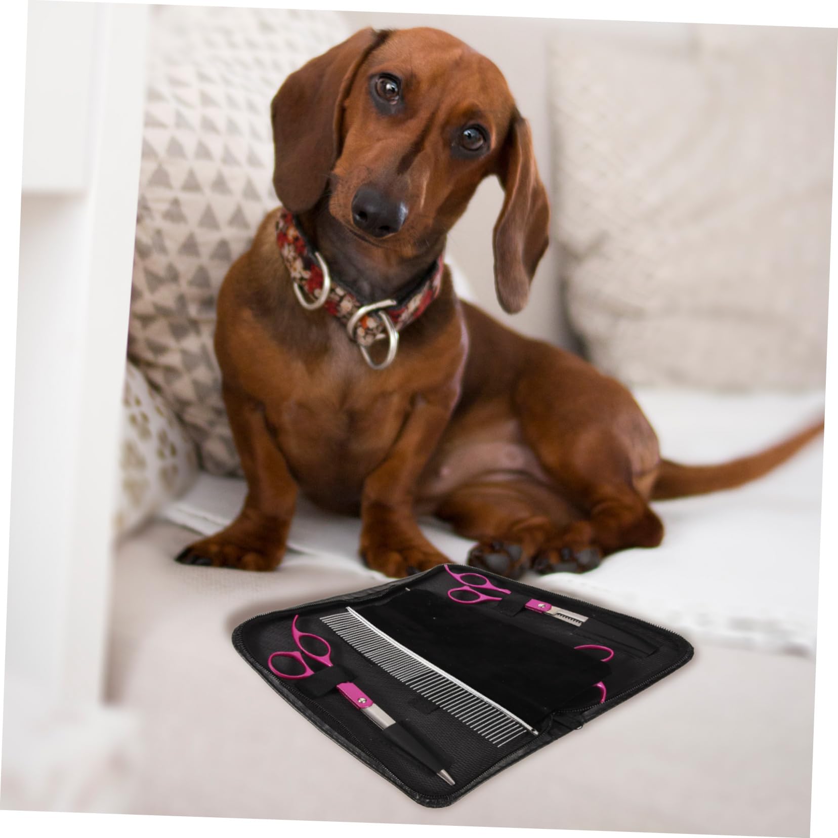 Hohopeti Multi-functional Pet Grooming Scissors Set Dog Grooming Scissors Kit with Curved Straight Blades Stainless Steel Comfortable Grip for Home Salon Use