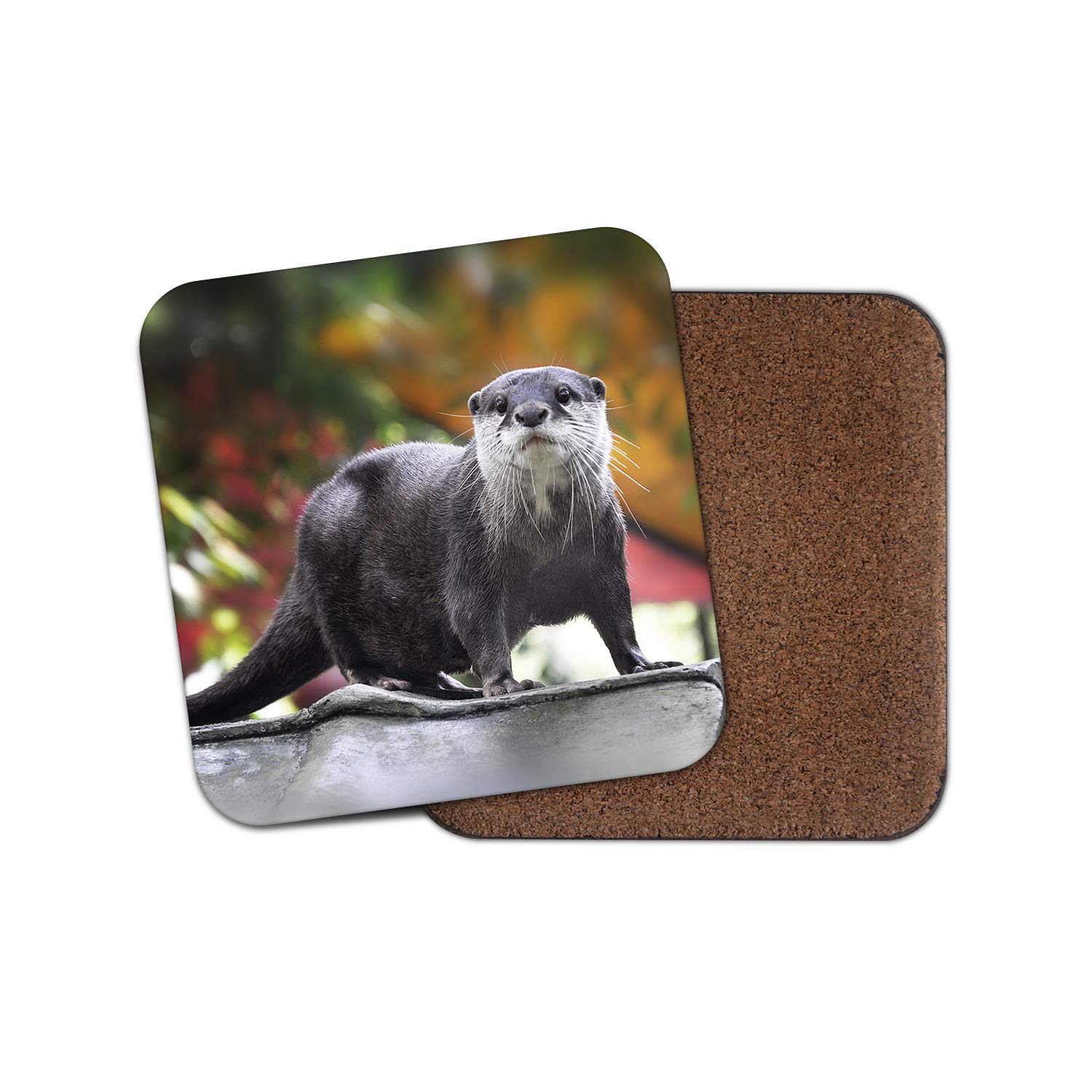 Destinationvinyl Multicolor 1 X Beautiful Otter Coaster - Wild Animal Nature Cute River Zoology #12642