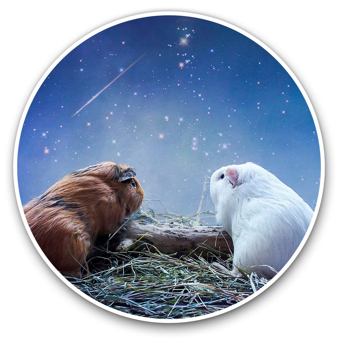 Destination Vinyl Ltd Cute Guinea Pig Love 2036 Vinyl Stickers (Set Of 2) 20Cm - Cute Guinea Pig Ny Love #2036