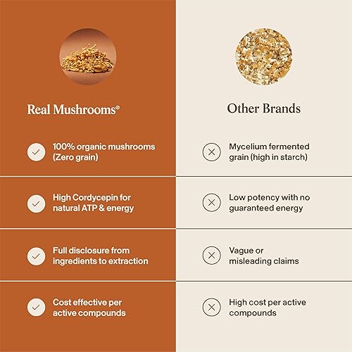 Miniatura 6 de Real Mushroom Cordyceps - Polvo de hongos Cordyceps Energía y rendimiento - Polvo Cordyceps orgánico con beta-glucanos, suplemento vegano, sin OMG,