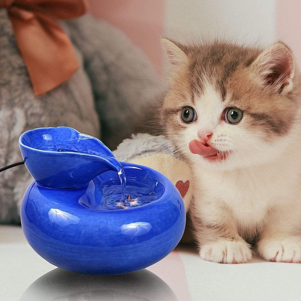 Fountain Automatic Cat Water Fountain with Filter,Ceramic Pet Drinking Fountain for Cats and Dogs Pet Water Dispenser Silent NonSlip Pet Water Dispenser (Color : Blue)