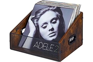 Record-Protecting Album Crate with Sturdy Handles