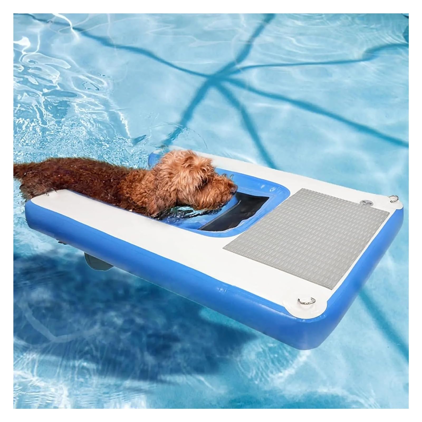 rampa gonfiabile per cani Piattaforma Di Attracco Dell'animale Domestico Per La Piscina, Scala Galleggiante Gonfiabile E Riutilizzabile Del Cane, Rampa D'acqua Pieghevole Portatile Del Cane 150cm, Car