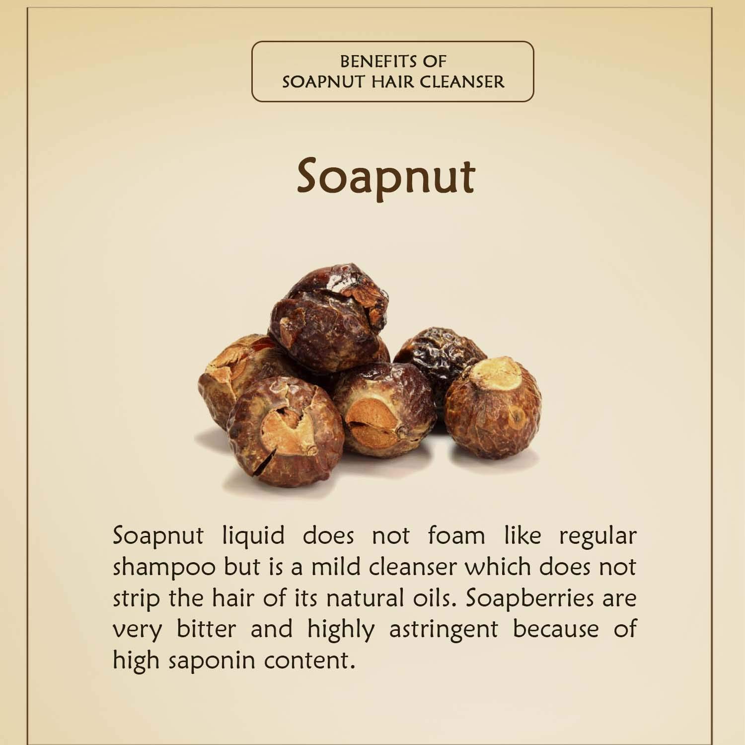Discover more than 143 soapnut hair wash super hot camera.edu.vn