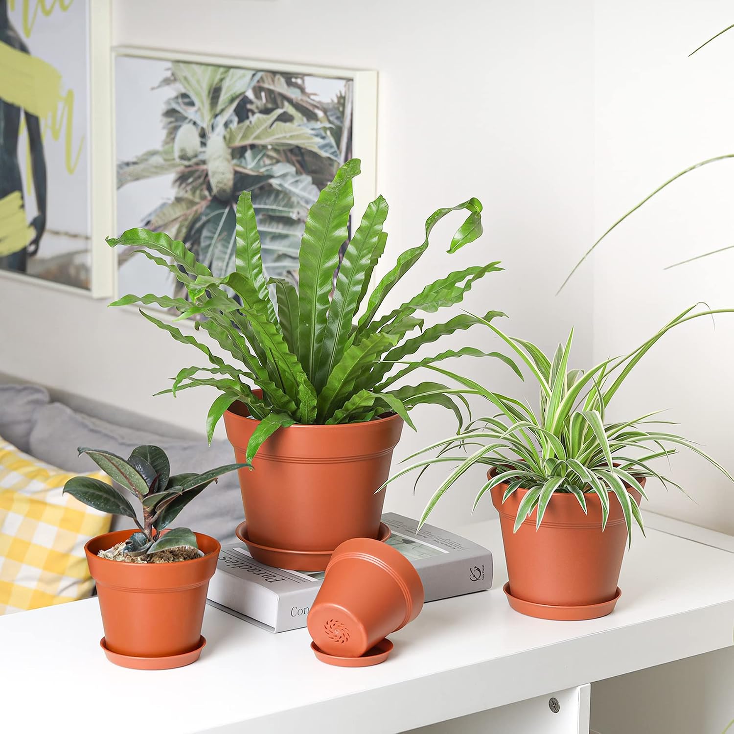 T4U 4 Inch Plant Pots 18-Pack - Small Plastic Planter with Drainage Hole and Saucer, Decorative Nursery Flower Pot Bulk for African Violet, Snake Plant, Succulent and All House Plants (Terracotta)