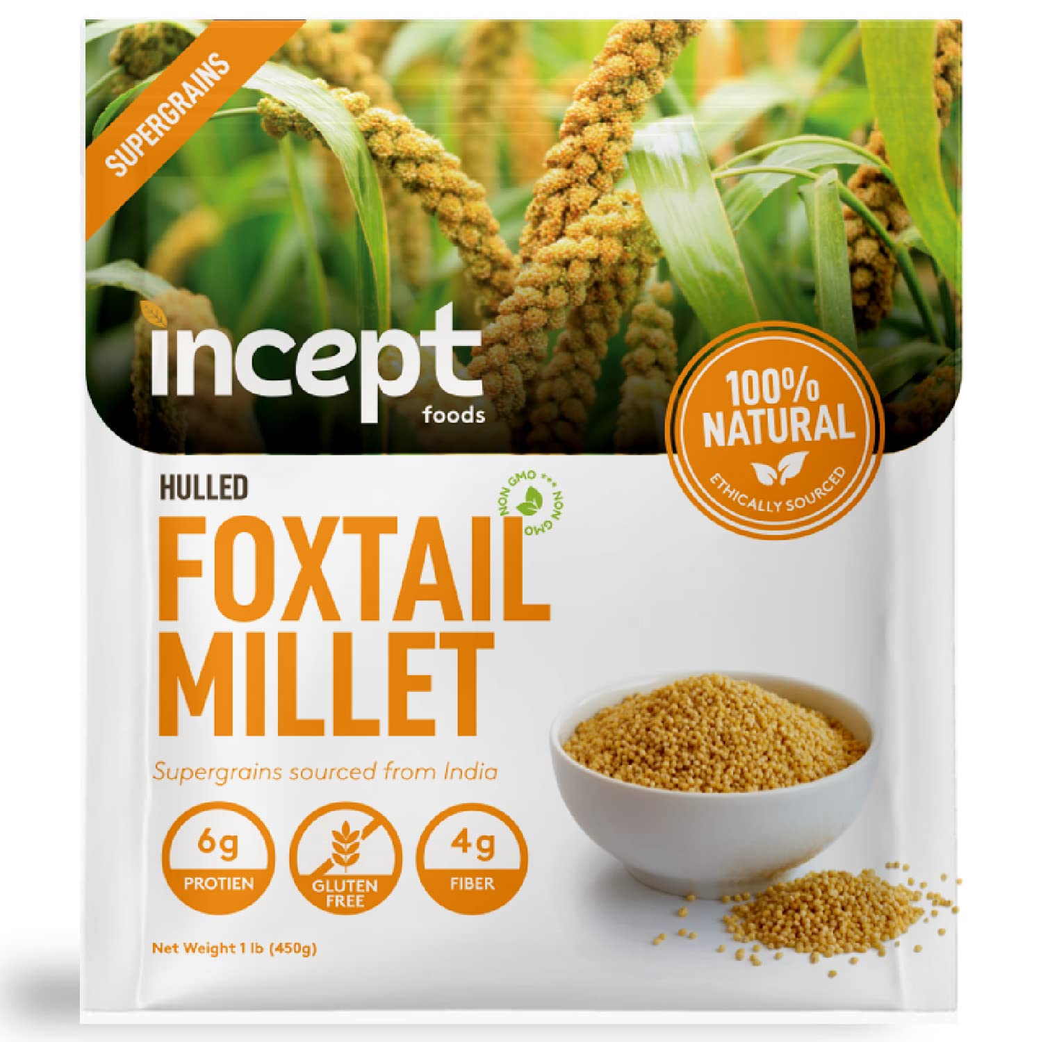 Incept Foxtail Millet, 1 lb Millet Grain & Gluten Free Millet Seed, Superfood of the Decade