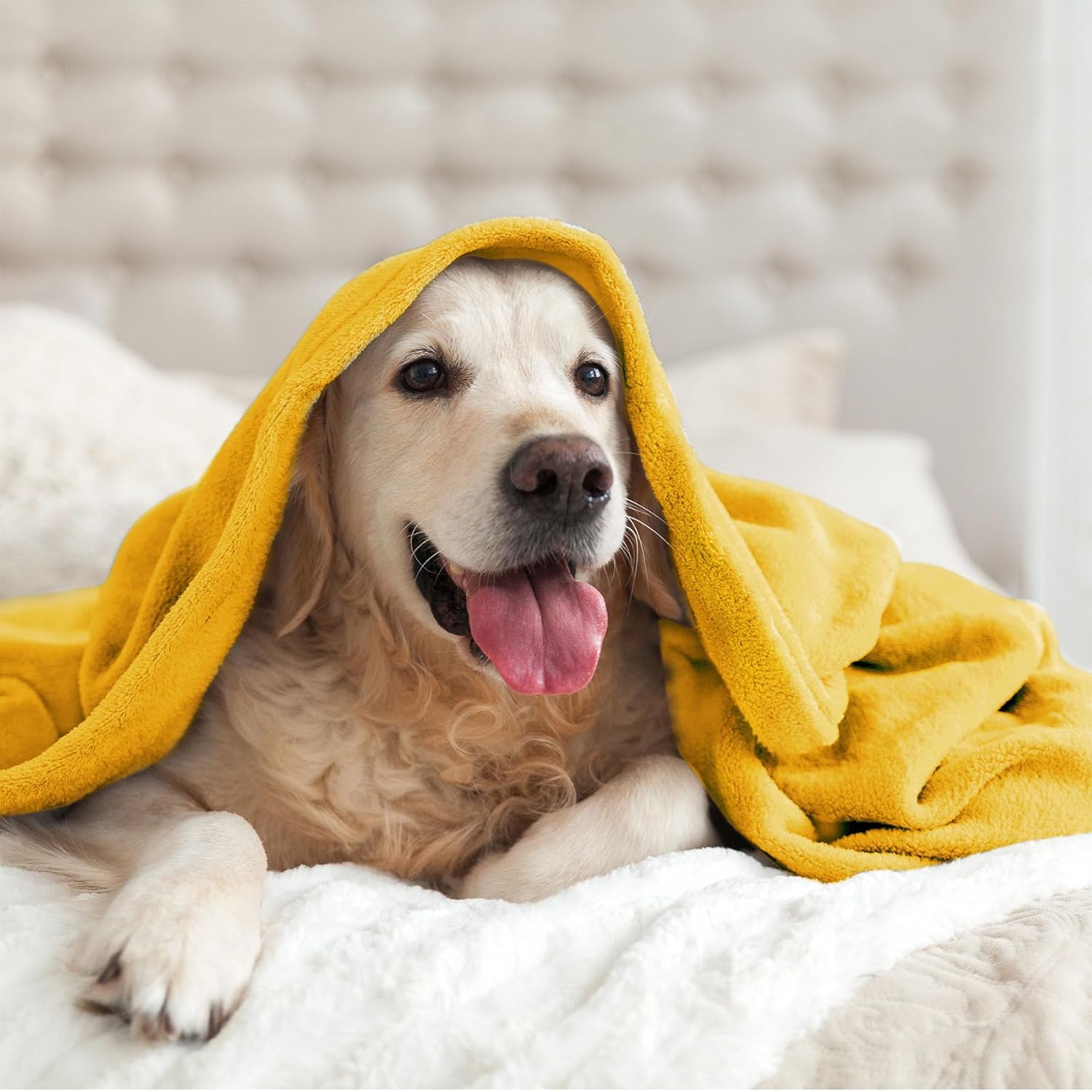 BEDELITE Fleece Blanket Yellow Throw Blanket for Couch & Bed, Luxury Plush Cozy Fuzzy Blanket 50" x 60", Super Soft Warm Lightweight Throw Blanket for Travel Camping - Image 7