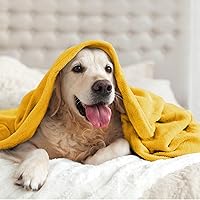 Vista 349 de BEDELITE Fleece Blanket White Throw Blanket for Couch & Bed, Luxury Plush Cozy Fuzzy Blanket 50" x 60", Super Soft Warm Lightweight Throw Blanket