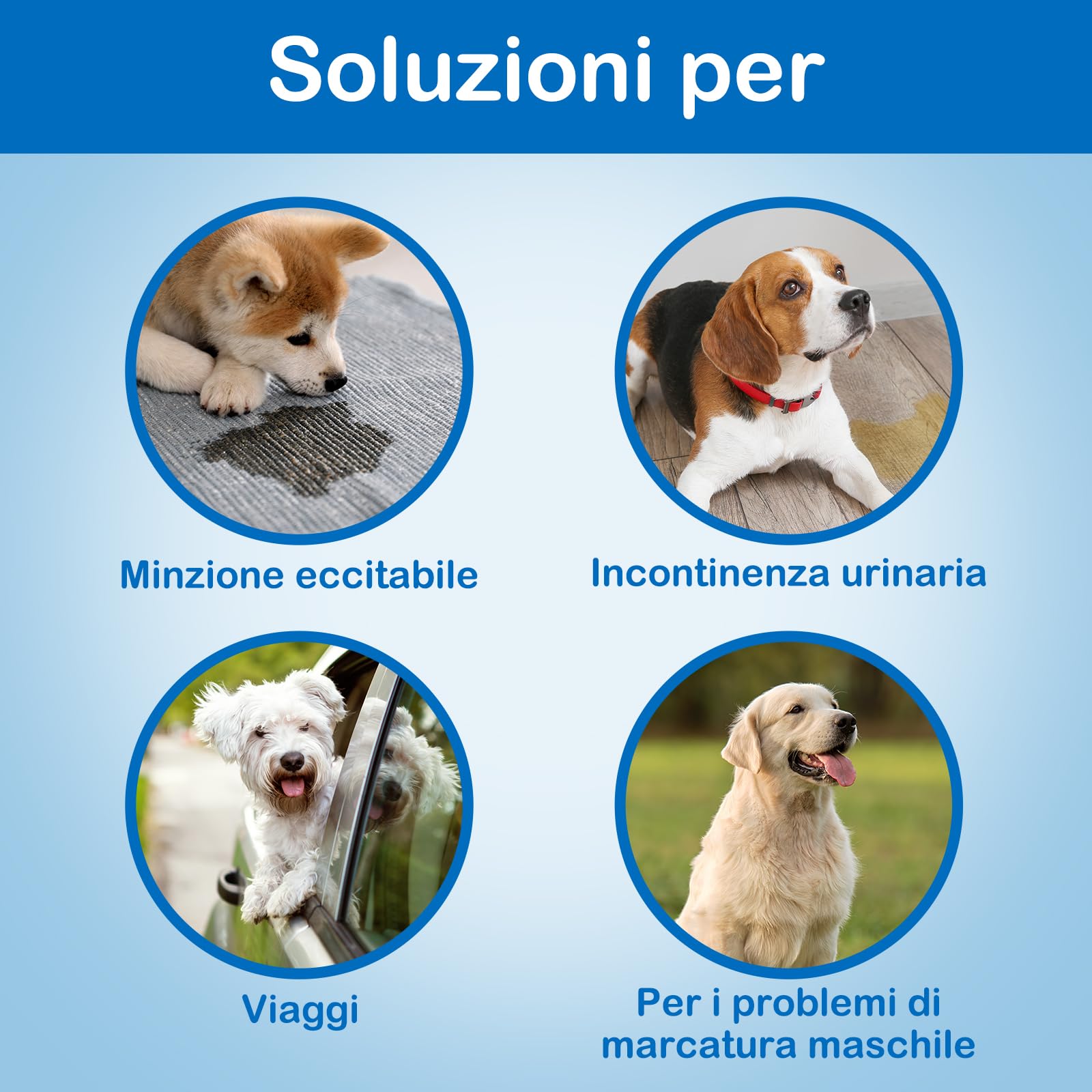 Flying Paws Bande per pancia usa e getta per cani maschi, con indicatore di umidità, super assorbenti, morbidi, pannolini per cani maschili (L, 20)