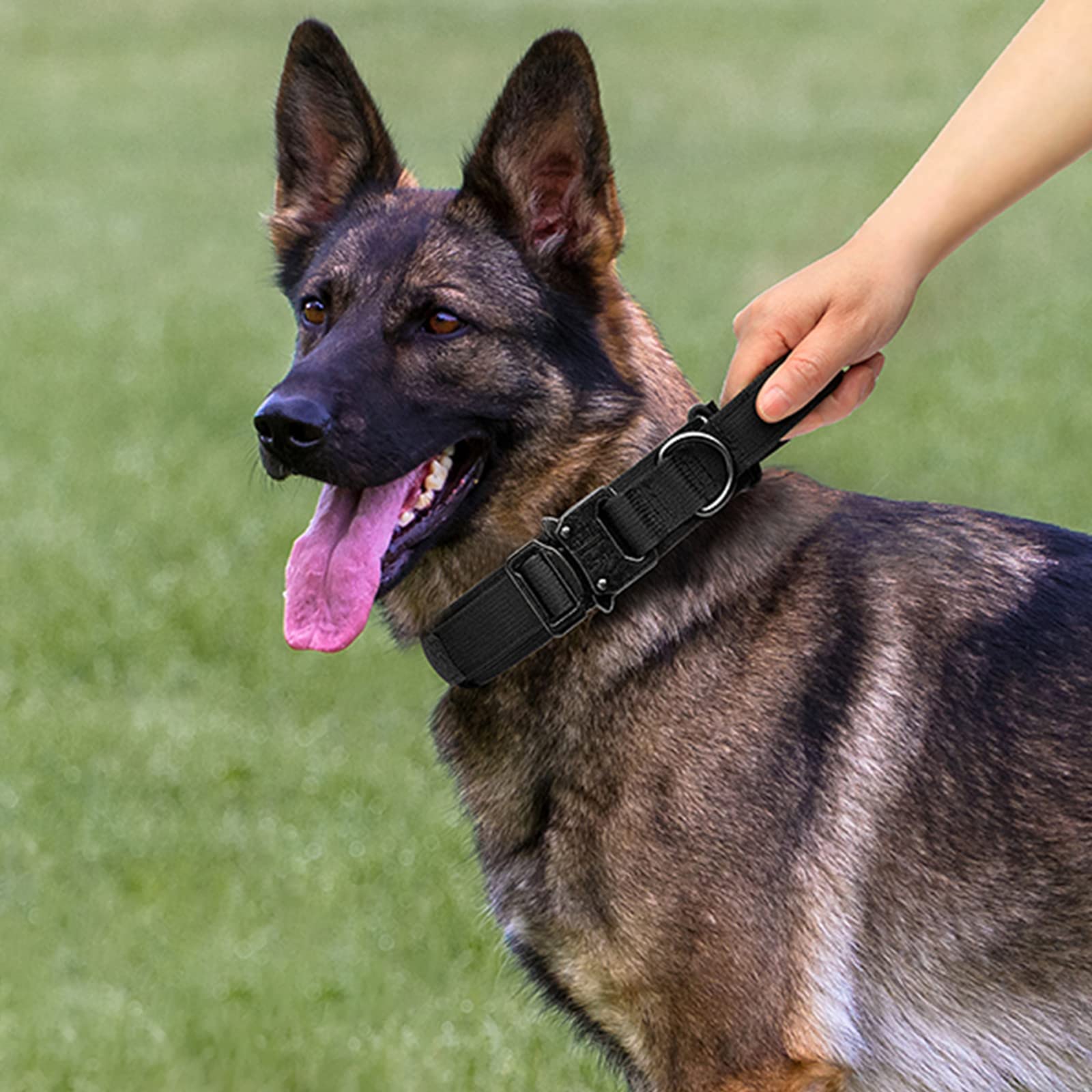 Juego de collar táctico y correa ajustable de nailon militar con mango de control, hebilla de metal resistente y correa elástica para entrenamiento de perros (XL, negro)