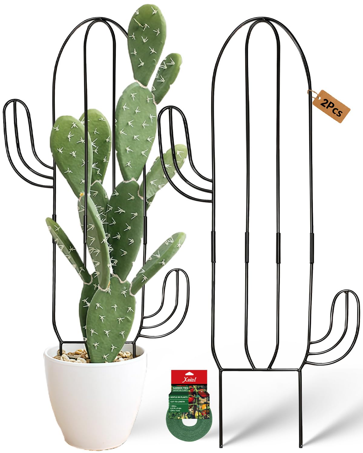 Plant Trellis for Climbing Plants Indoor, Cactus Trellis for Potted Plants, Pothos Hoya Monstera Metal Houseplant Climbing Support for Garden Balcony, 2P