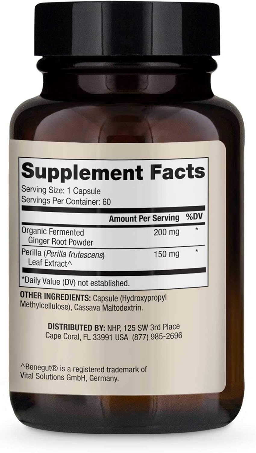 Dr. Mercola Fermented Ginger Beer, 0.5 Ounce : Health & Household