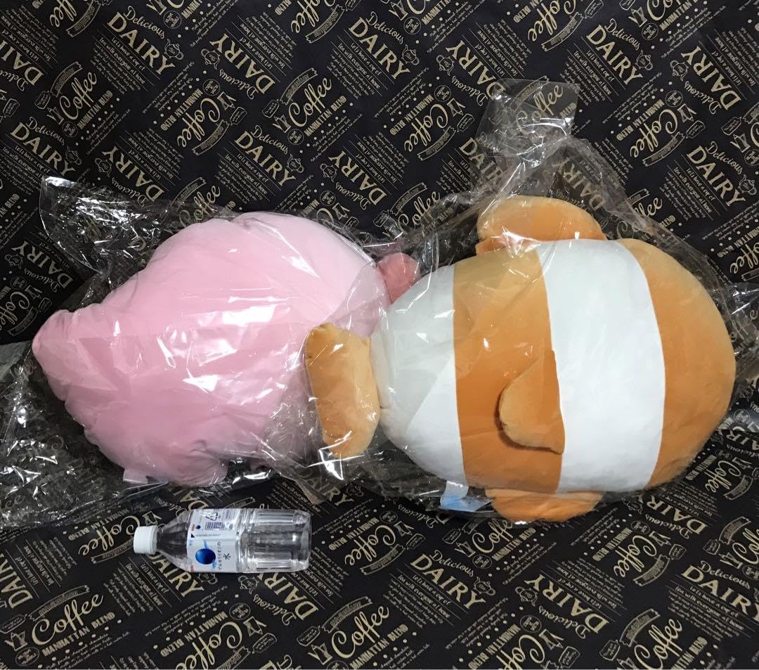 Amazon.co.jp: つぶらな瞳の 水族館 もちふわ BIG ROUND1限定