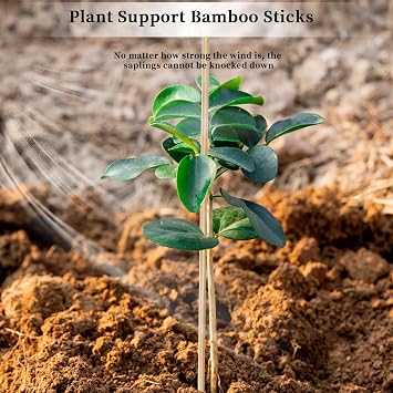 Plant Support Sticks, 45pcs 40cm Reusable Bamboo Plants Support Flower Stick Garden Tools for Garden Canes
