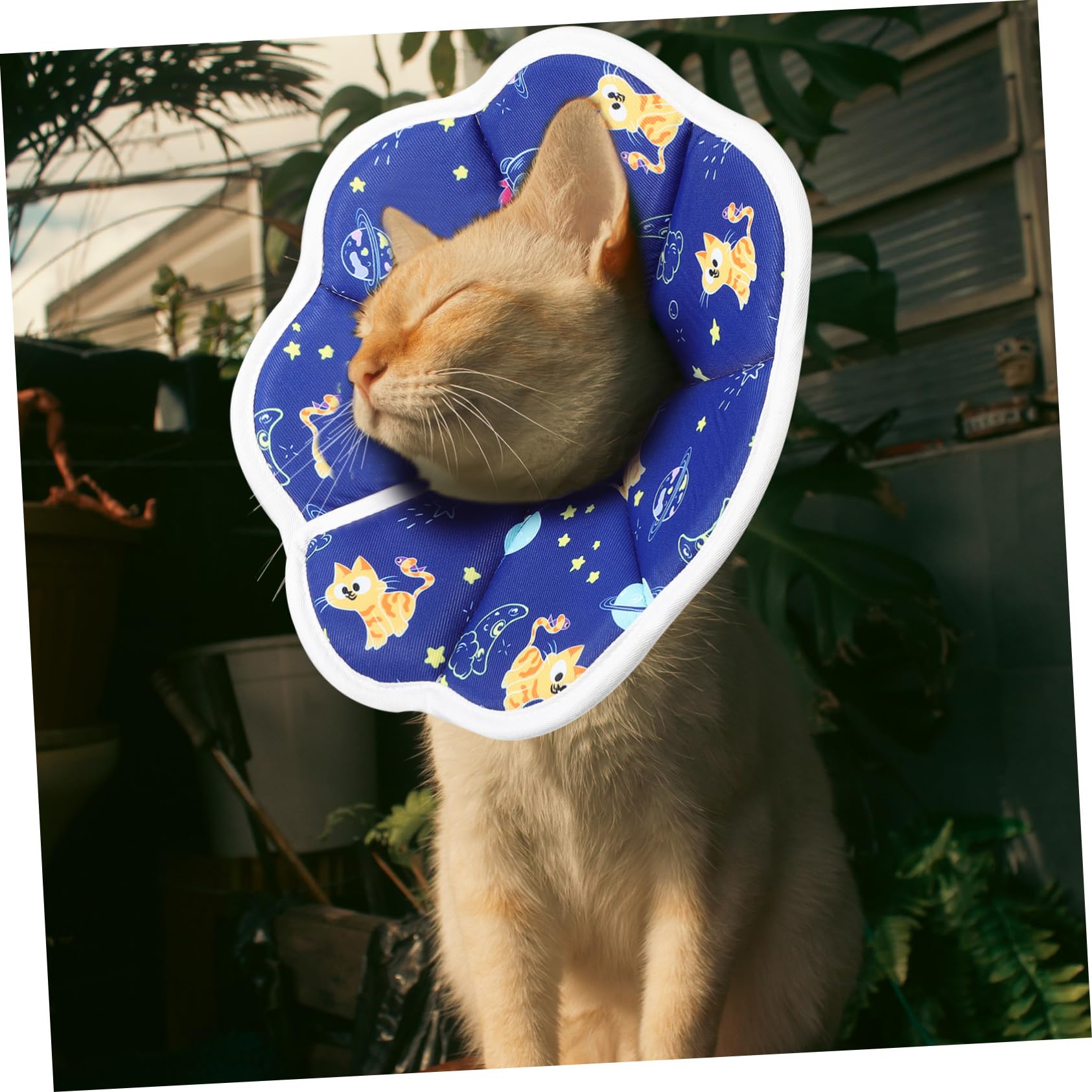 POPETPOP 5 Pz morbido per gatti coni per gatti dopo l'intervento collare elisabettiano gatto collarino cane cucciolo collarini gattini ciambella di gatto gattino spugna