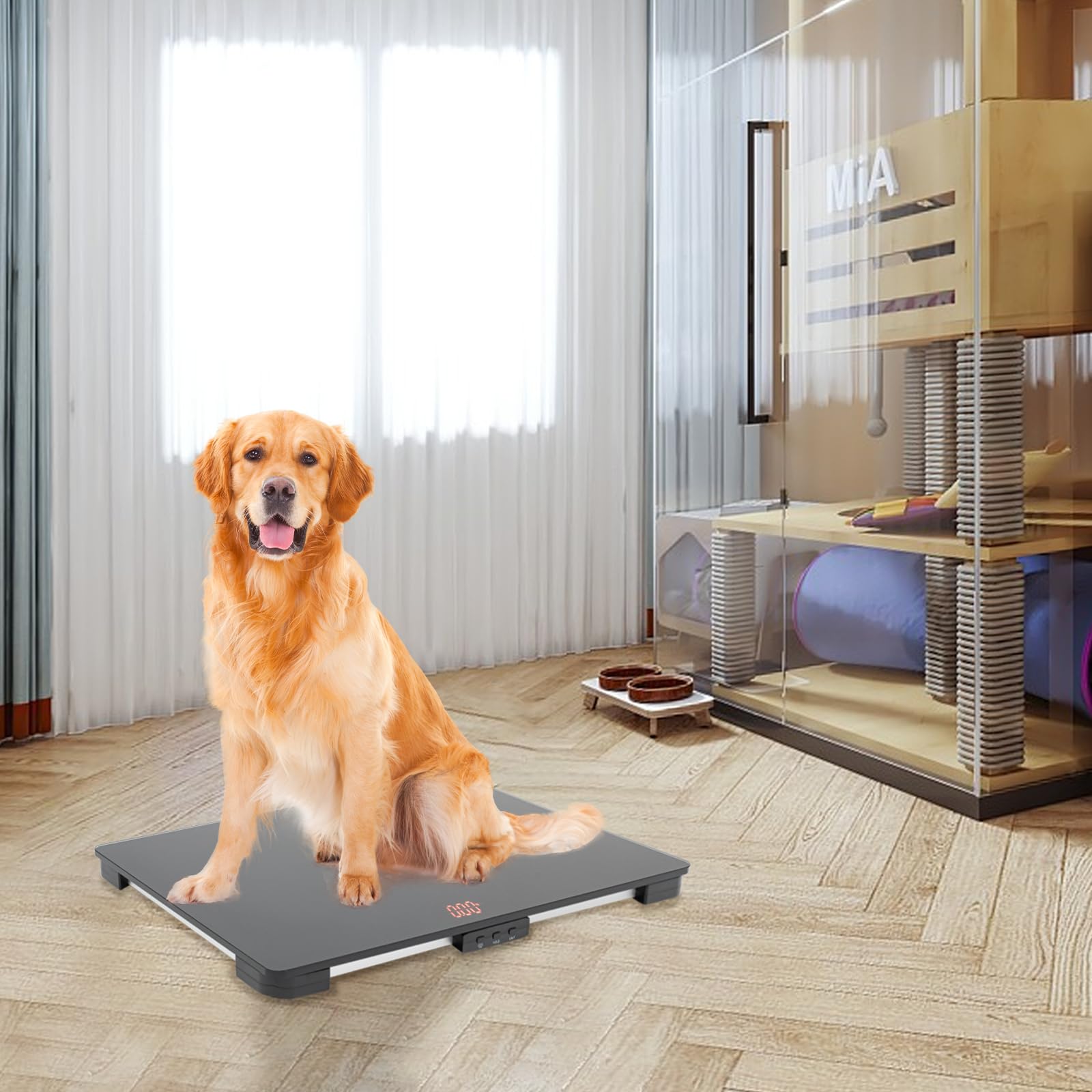 Bilancia Per Animali Domestici Digitale - Per Cani E Gatti Fino A 100kg | Vetro Temperato, 3 Modalità | TaNeHaKi - Foto 7