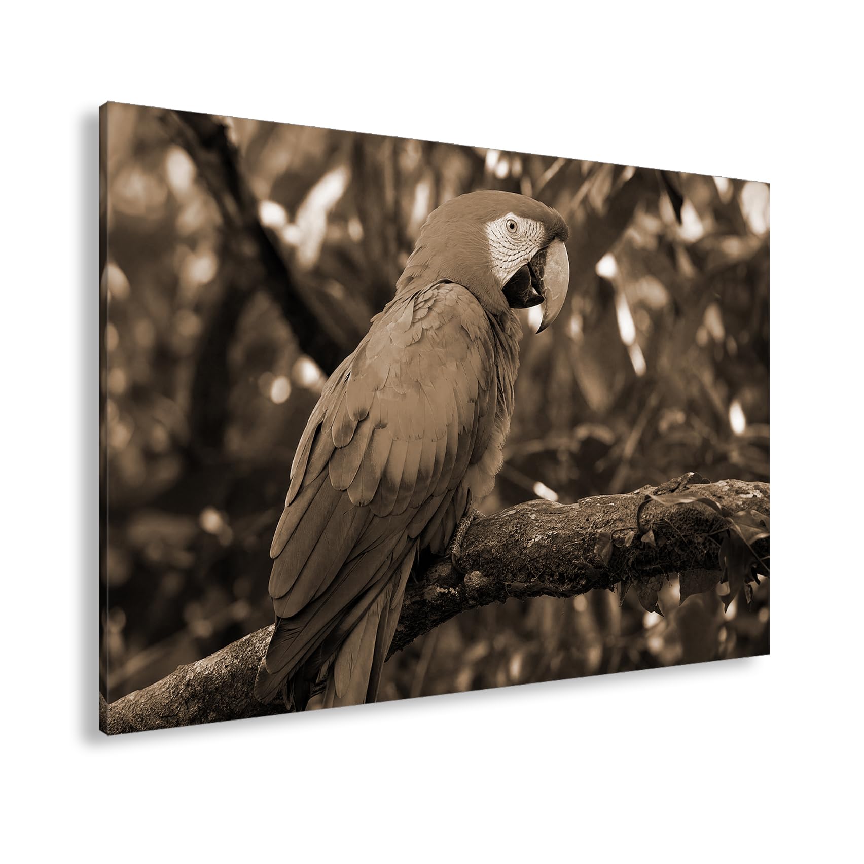 deyoli Obraz na płótnie Kolorowa papuga na gałęzi w lesie 70 x 50 cm Sepia | Format poziomy, jednoczęściowy druk artystyczny XXL, obraz na blejtramie, obraz na płótnie, obraz ścienny, dekoracja salonu