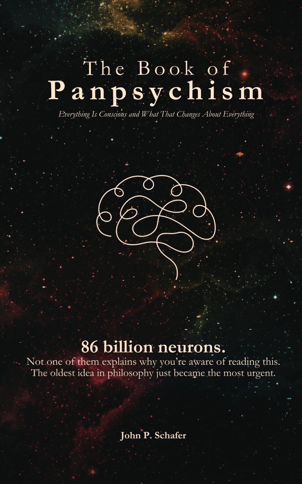 The Book of Panpsychism: Everything Is Conscious — and What That Changes About Everything