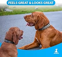 Vista 3 de SparklyPets Collar de perro resistente con asa para perros medianos y grandes, collar profesional con costuras reflectantes, mango suave y hebilla