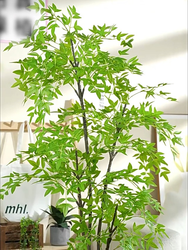 Amazon｜Fuyutu ナンテン 人工観葉植物 大型 130cm/150cm/180cm
