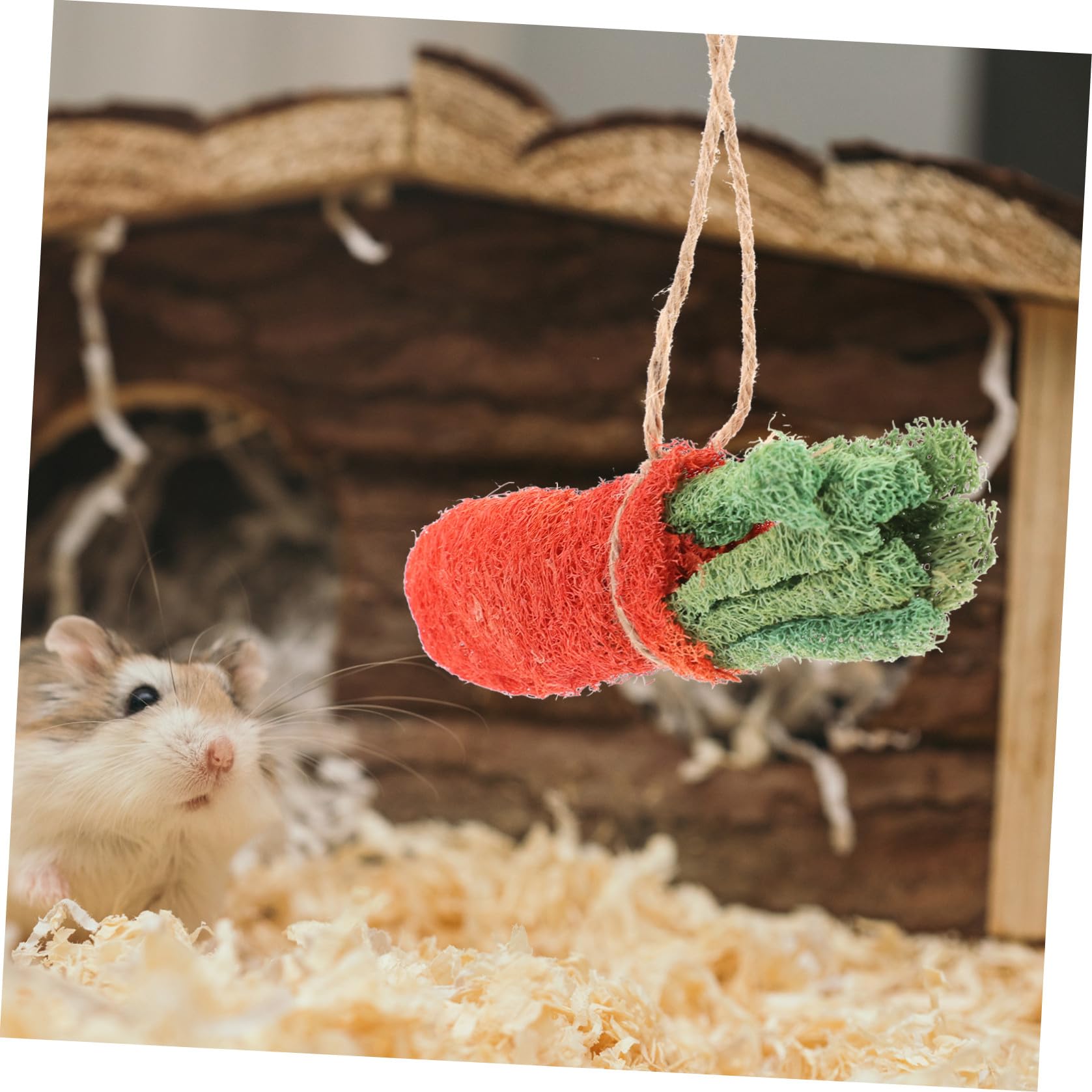 BESPORTBLE 8pièces Jouets à Mâcher pour Hamsters Décoration pour Cage De Hamster Accessoires pour Lapins Jouets pour Petits Animaux