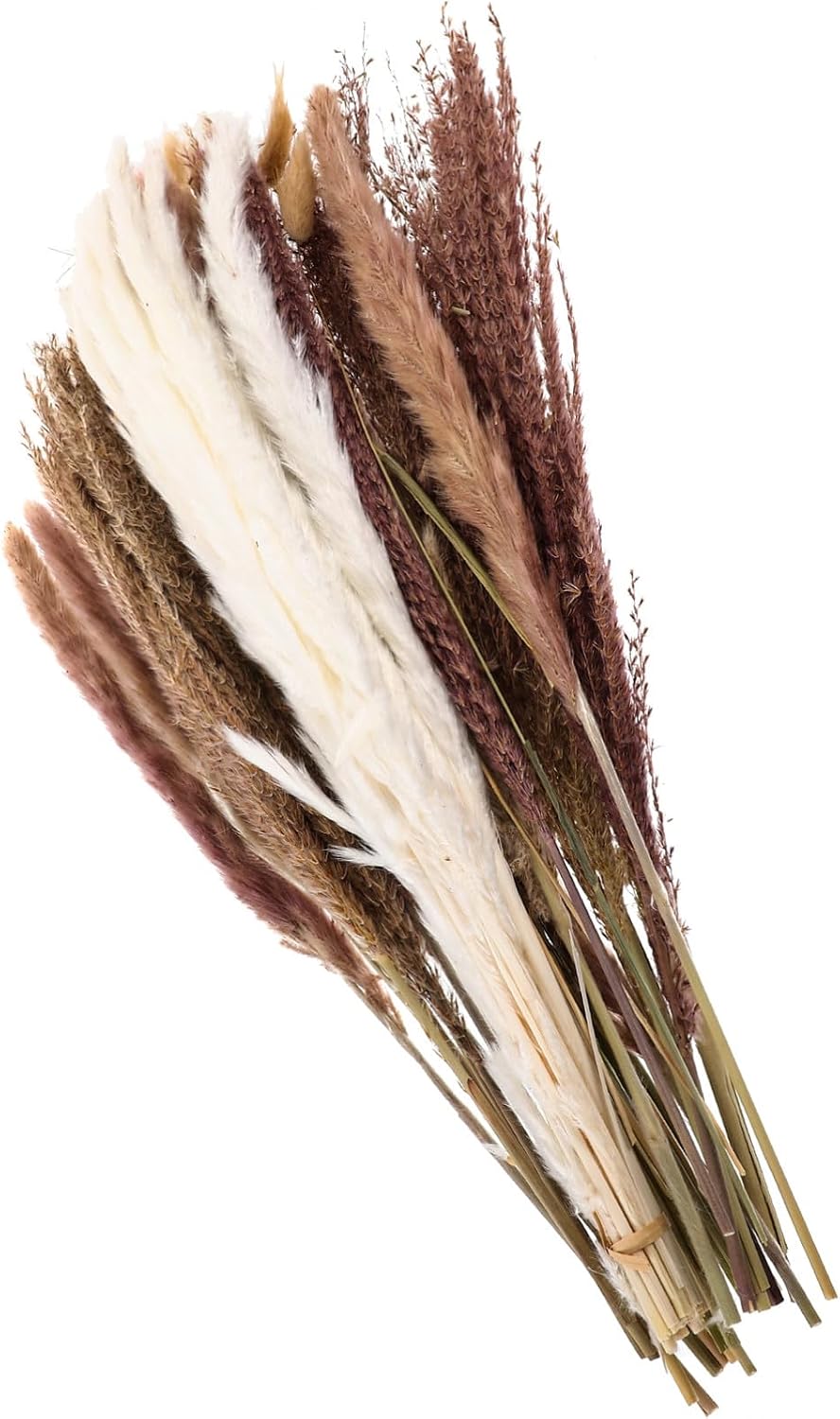 Dried Pampas Grass Bouquet with Box Simulation Plant Table Decoration for Home Dining DIY Floral Arrangement Wedding Centerpiece Boho Style Natural Look