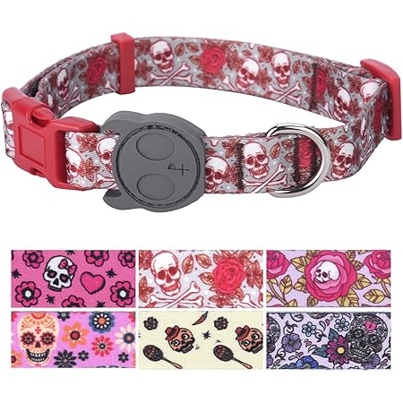 indoor dog collar