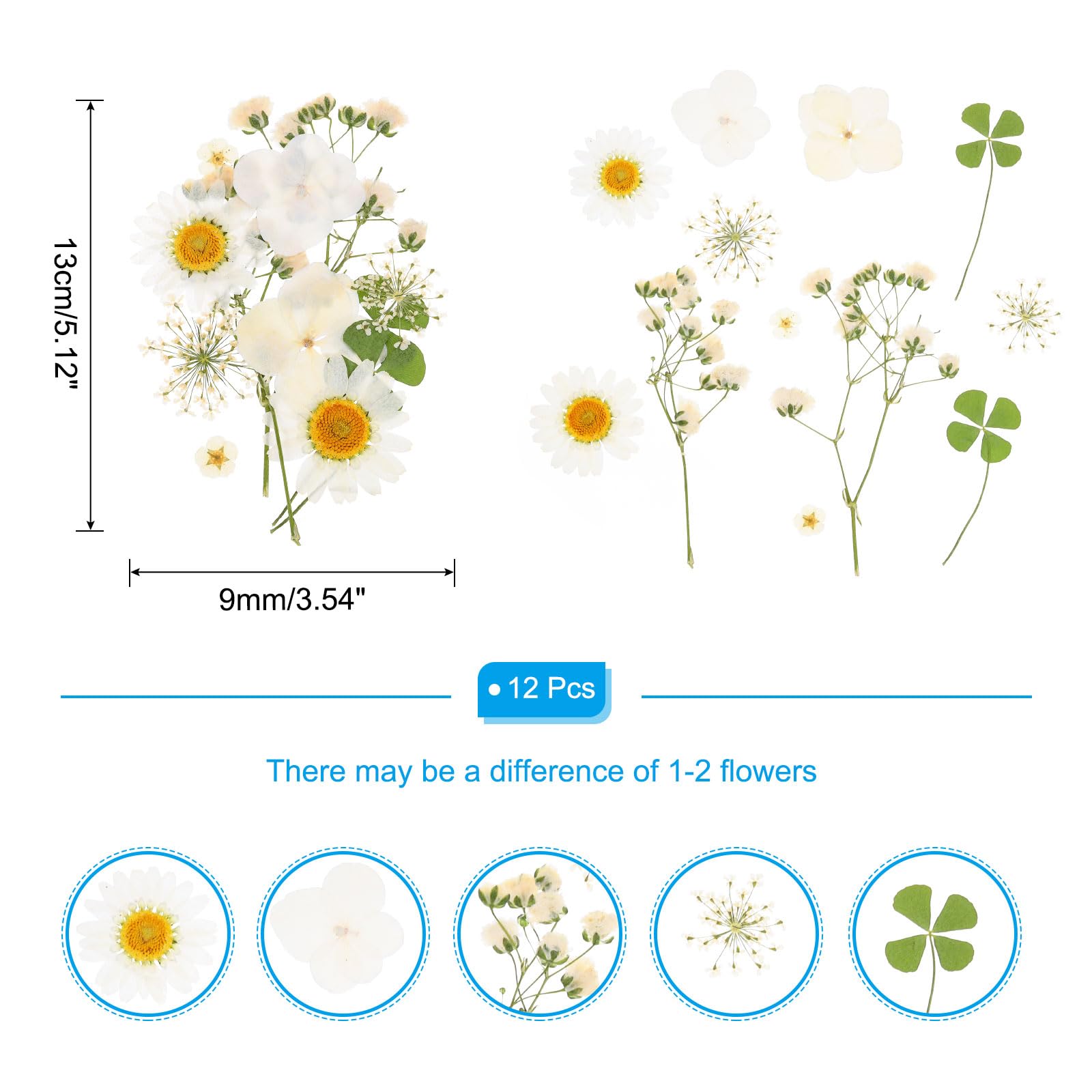 PATIKIL Dried Pressed Flowers - Image 2