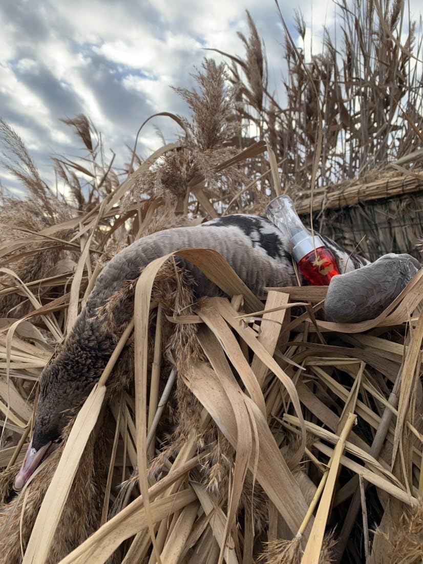 Gänselocker, Lockinstrument, geeignet für die Jagd oder Tierbeobachtung