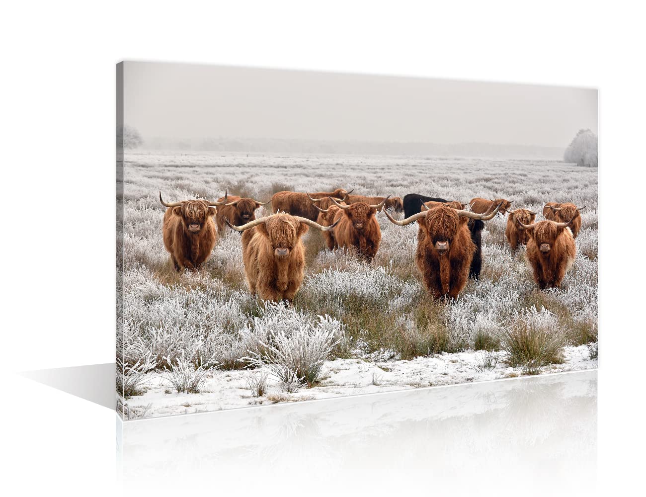 1 Panels Brown Highland Cow in Natural Winter Landscape Canvas Prints Cows with Big Horns Wall Art Giclee Home Decorations for Living Room Stretched and Framed Pictures Photos Paintings(16"Wx24"H)