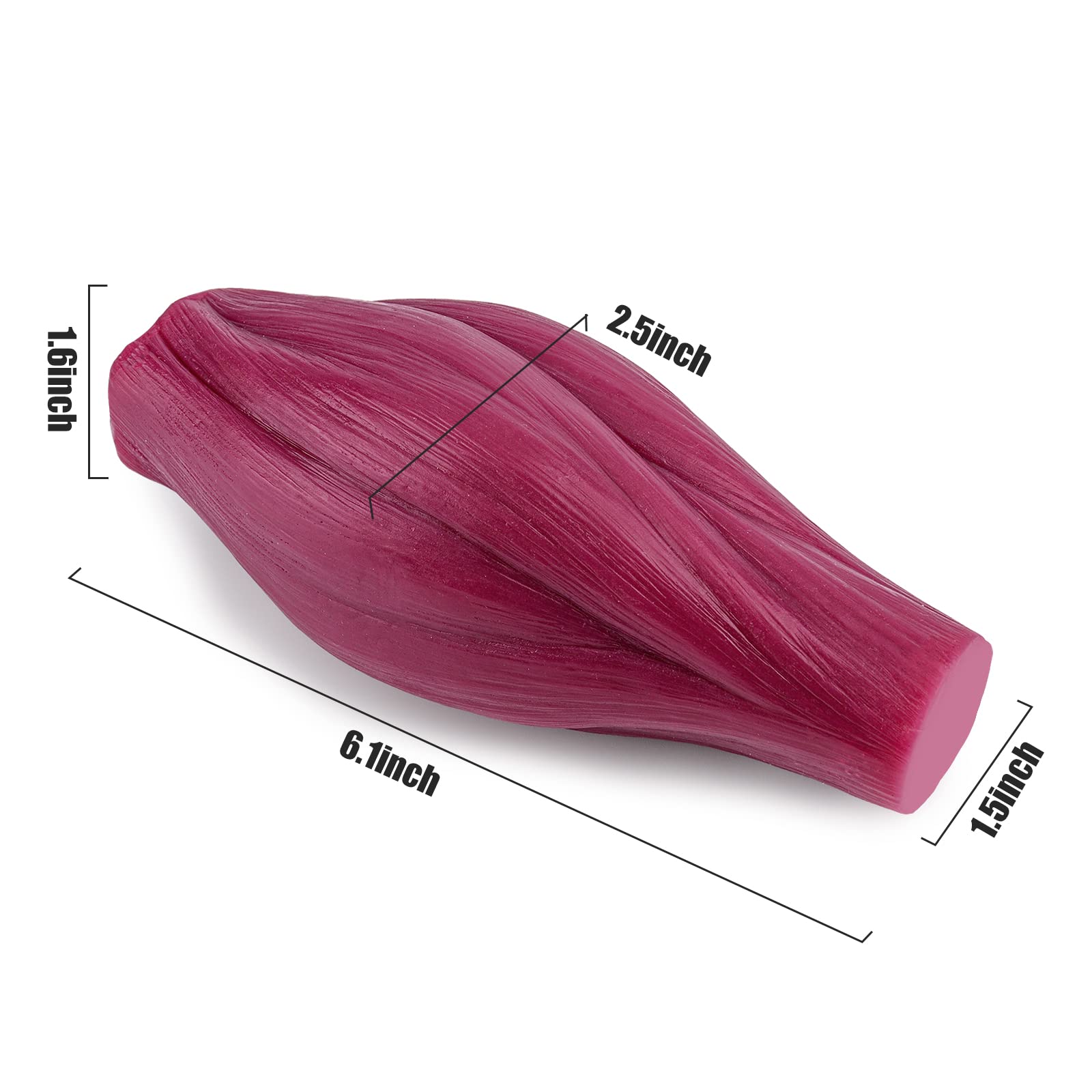 SimCoach Fat Replica 0,5 kg & Muscle Replica 0,5 kg con base display, ottimo motivatore e promemoria per fitness, modello demosrtation per nutrizionista, modello anatomico per studenti di medicina