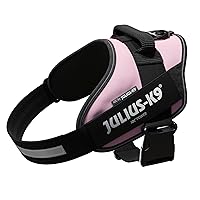 Julius-K9, Pettorina IDC Power