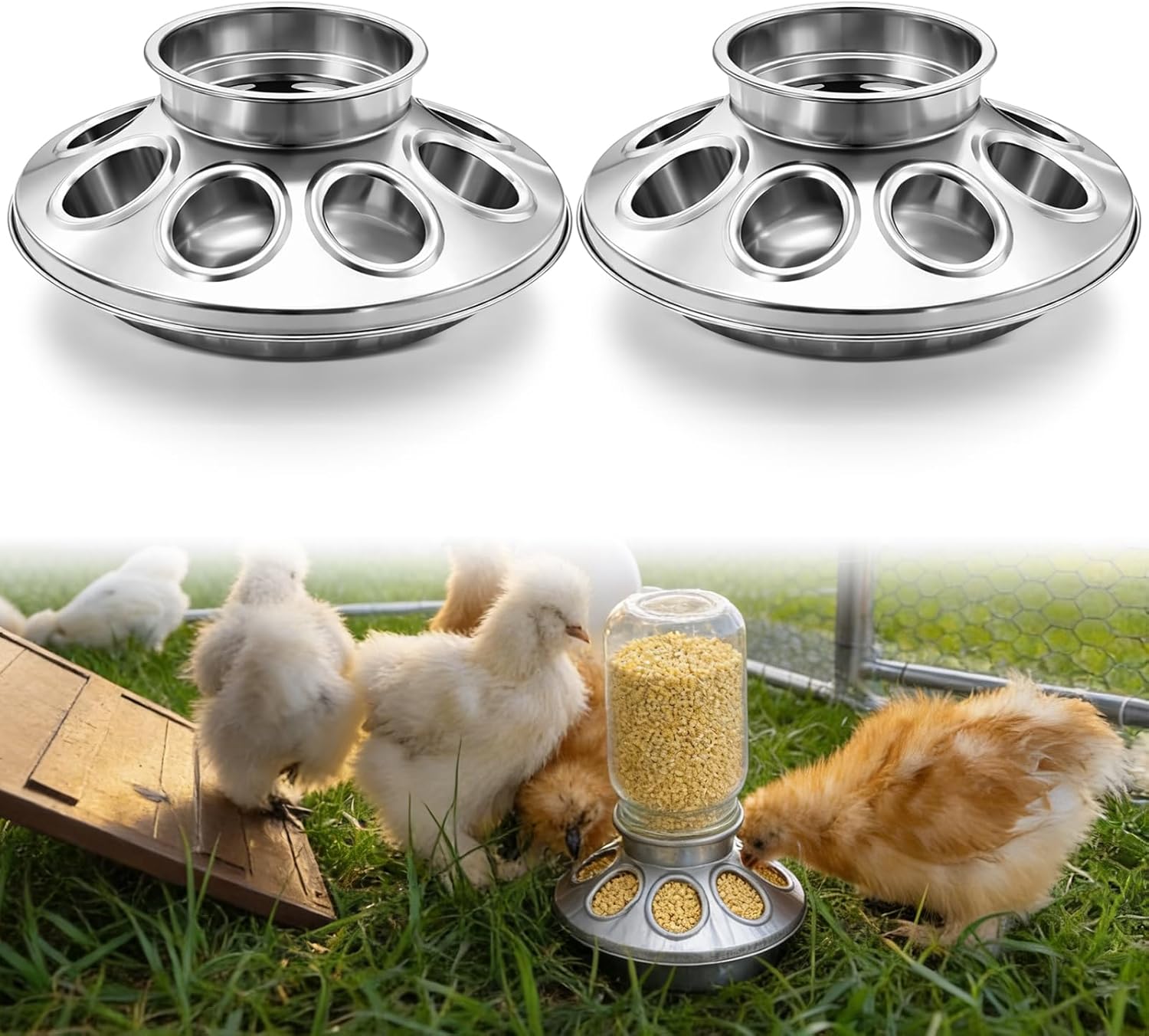 Potchen 2 Pcs Baby Chick Feeder Base, Galvanized Steel Poultry Feeding Tray with 8 Holes, 1 Quart Compatible with Mason Jars & Standard Feeder Jars for Small Birds Chicks