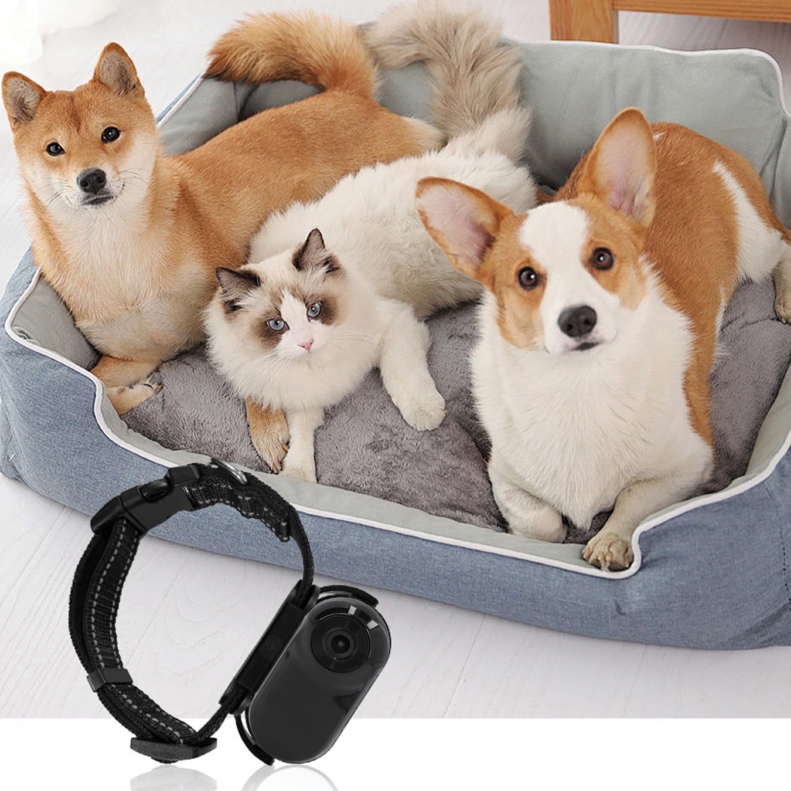 Topiky CALLARE PET COLLAR, COLLAR CATTO HD 1080P CON VIDE REGISTRA, AZIONE MAGNETICA REGOLABILE PER CAMERA DEL BODY OUTDOOR PER le Forniture PER Animali Domestici (BLACK)