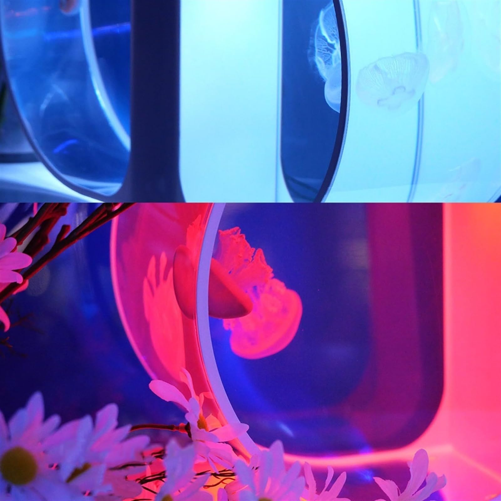 Acquario per Pesci Serbatoio di pesce Serbatoio di meduse bilaterale Serbatoio di pesce da tavolo Acquario Piccolo serbatoio di meduse Serbatoio di pesce ornamentale Acquario for ufficio Decorazione d
