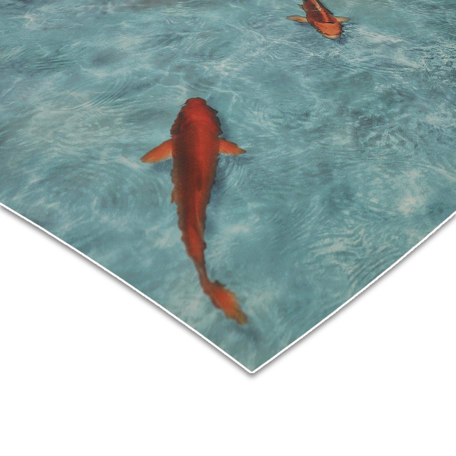 Moonlight Revêtement de sol en vinyle PVC CV | Plusieurs longueurs et motifs et tailles (100 x 400 cm, Koi)