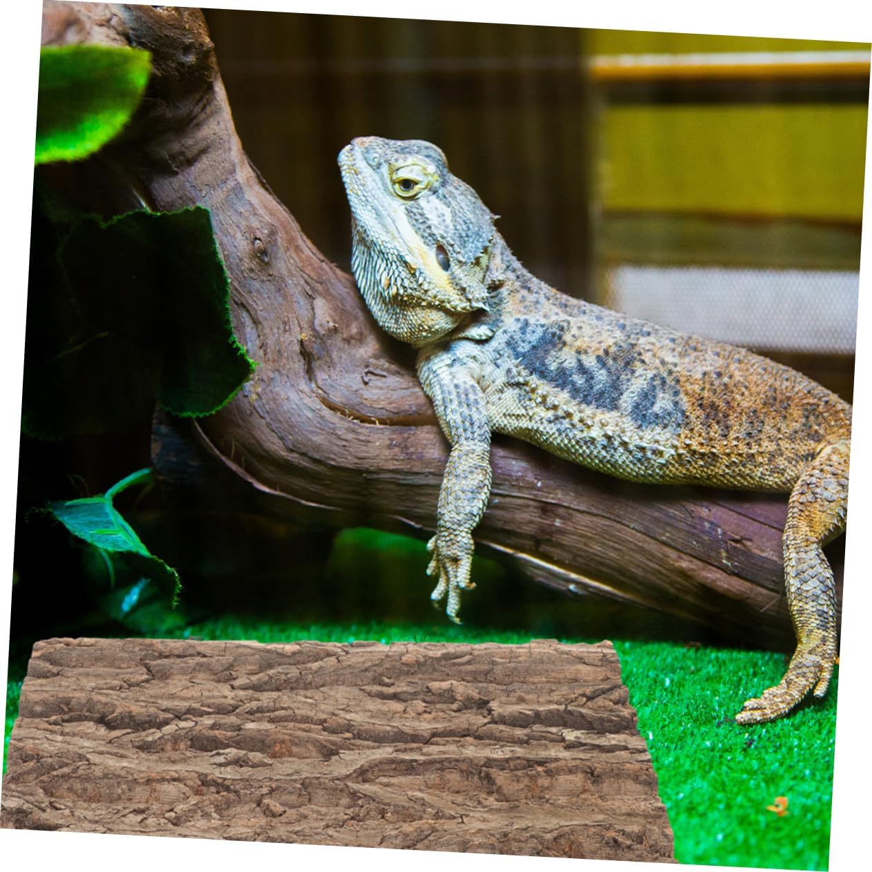 2pcs Bark Background for Terrariums and Aquariums Tree Bark Decor for Reptile Climbing Fish Tank Decoration and Green Plant Wall Panels