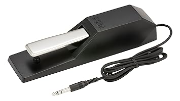 Korg Portable Keyboard (DS1H)