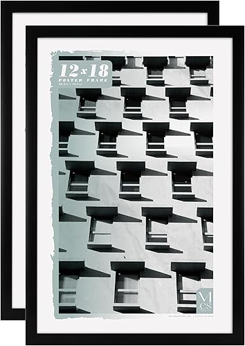 Vista 94 de MCS Gallery Foundation - Marco de póster, marco de fotos para arte de pared, negro, 16 x 20 pulgadas, individual