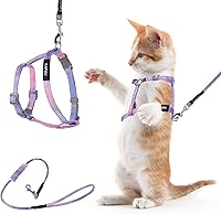 TIESOME Escape-Proof Cat Harness & Leash Set - Adjustable Gradient Purple Kitten Harness for Secure Outdoor Walks