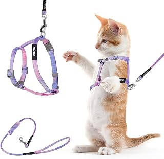 TIESOME Escape-Proof Cat Harness & Leash Set - Adjustable Gradient Purple Kitten Harness for Secure Outdoor Walks