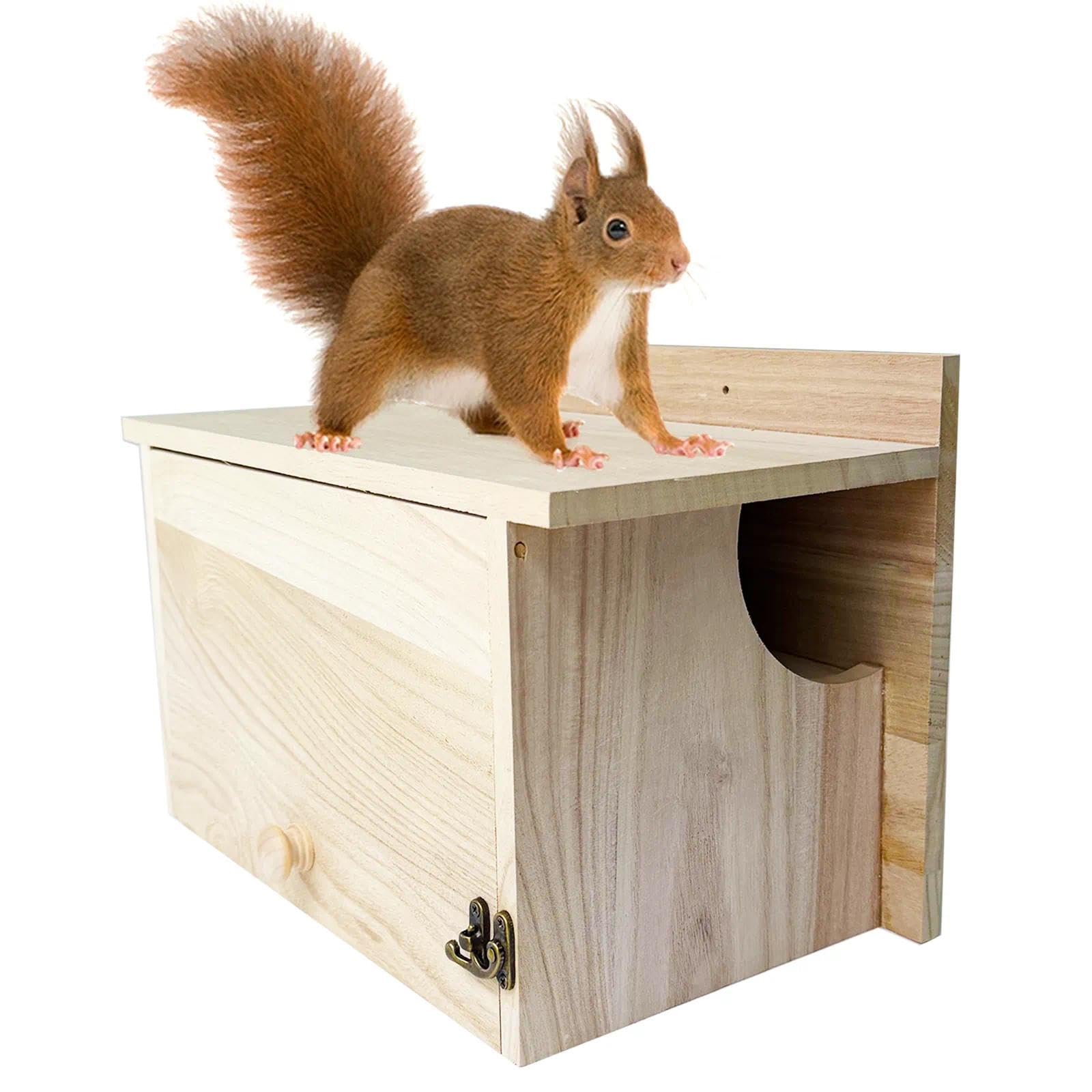 Caja nido de madera de ardilla para colgar en árboles del jardín y observar la naturaleza