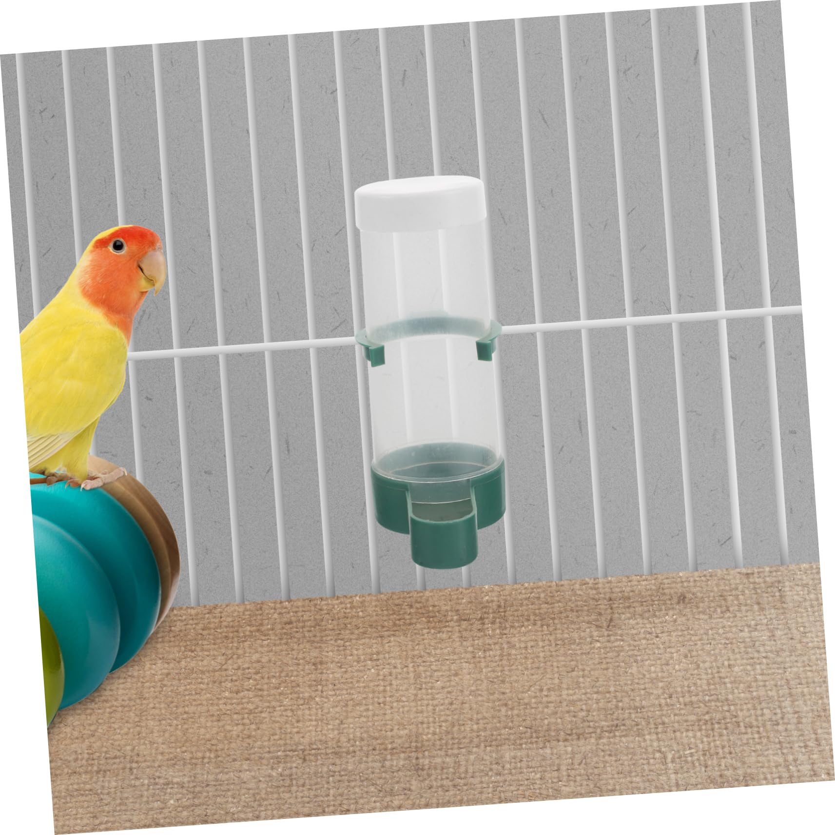 BESPORTBLE 20stücke Automatischer Futterspender Für Vögel Vogelkäfigzubehör Toplader-Design Ausgewogene Fütterung Vogelfreundlich Geeignet Für Papageien Sittiche Kanarienvögel