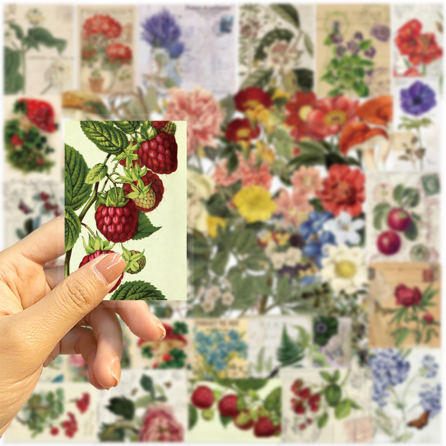 50Pcs Vintage Plant Stickers Pack, Waterproof PET Aesthetic Flowers & Nature Stickers for Scrapbook Journaling, Kindle Case - Image 3