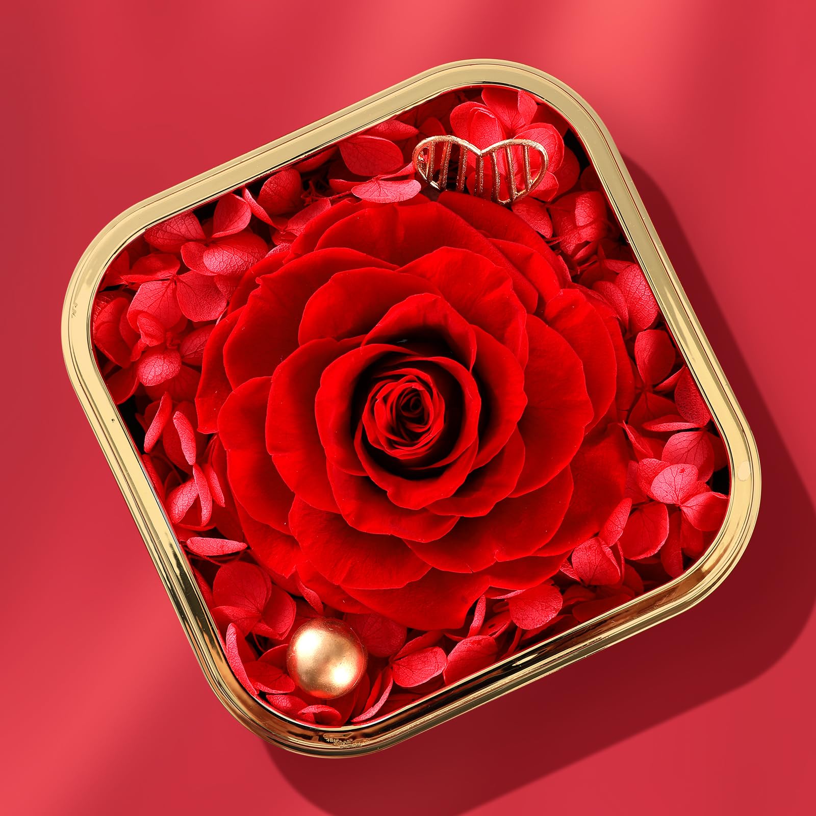 Mikasol Preserved Rose & Heart-Shaped Necklace with Jewelry Box, Preserved Rose, Ideal Romantic Gift for Women Anniversary - Image 4