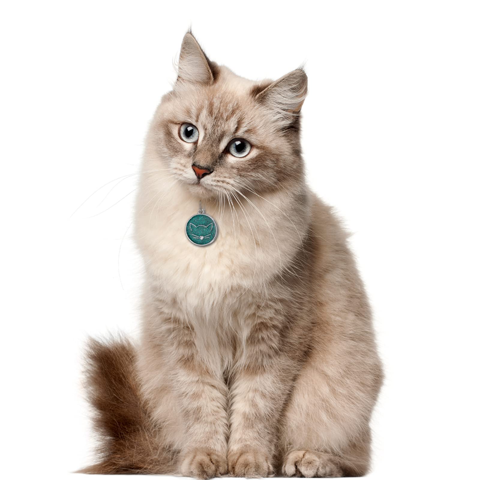 Targhetta Personalizzata Per Cani Targhetta Personalizzata Per Cane O Gatto – In Acciaio, Con Nome E Telefono Incisi Collana Con Nome - Foto 8