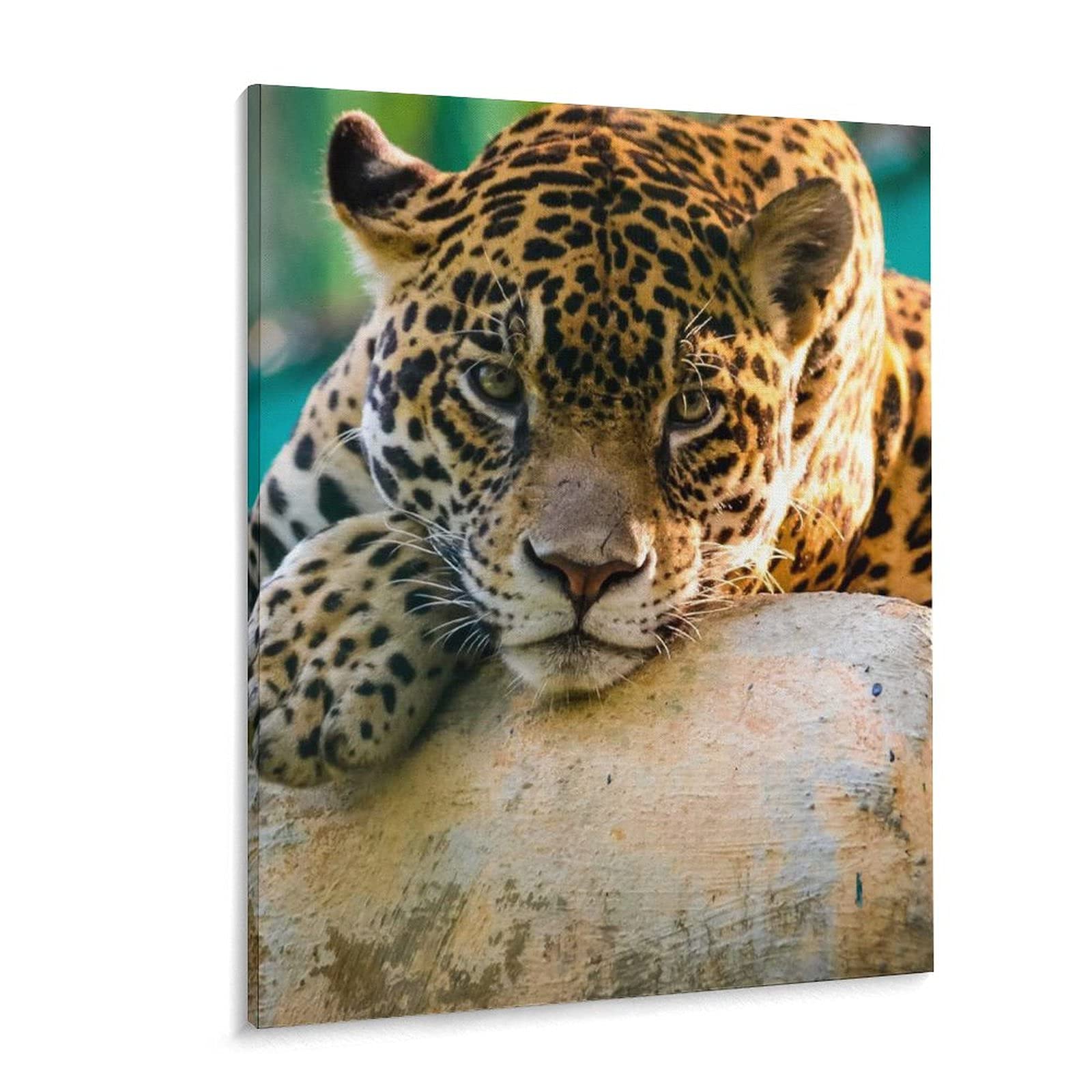 Amazon.co.jp: 動物 ネコ科 ジャガー アートパネル 絵画 油絵